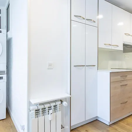 Ah Full&roomy Auditorio De Vut6502as Apartment *